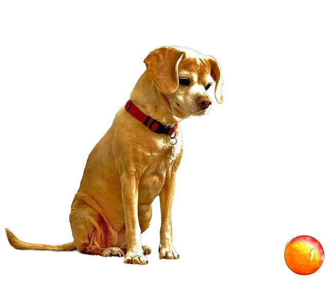 May-z, the WorkFreeWork mascot